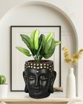 SHAVI DE Buddha 6" Black Ceramic Pots for Indoor Plants, Planters, Flower, Pots, gamla,Outdoor,Balcony,Home,Round,Garden, Office Decor,Succulent(H - 15.5 X D - 16 cm)(Plants not Included) (BLACK/GOLD)