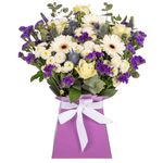 Generic Wild and Natural Fresh Flower Bouquet in Presentation Vase | White Roses, Germinis, Chrysanthemums & Seasonal Greenery | Presented in a Purple Card Vase and White Satin Ribbon Bow, AMFL002