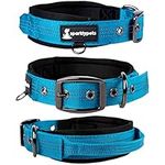 SparklyPets Heavy Duty Dog Collar with Handle for Medium and Large Dogs – Professional Collar with Reflective Stitches, Soft Handle & Nickel-Plated Buckle (Medium (14,5"~18,5"), Blue)