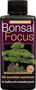 Bonsai Foc