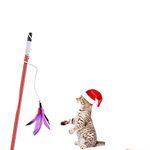 The Pets Company Cat Retractable Bell Teaser Wand Toy, Interactive Natural Feather Cat Kitten Toy