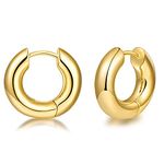 LILIE&WHITE Round Gold Huggie Hoop Earrings For Women Fashion Chunky Hoop Earrings Hypoallergenic Jewelry Thick HoopS