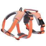 BELPRO Multi-Use Support Dog Harness, Escape Proof No Pull Reflective Adjustable Vest with Durable Handle, Dog Walking Harness for Big/Active Dogs (Orange, S)
