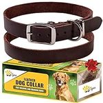 Adityna - Leather Dog Collar for La