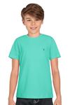 Allen Solly Junior Boys Solid Regular Fit T-Shirt(ABKCCRGFC72422_Light Green_13 Years-14 Years)