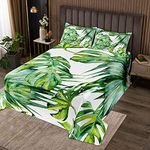 Palm Tree Print Quilted Coverlet Girls Tropical Palm Leaf Quilted Bedspread Coverlet for Kids Teens Women Green Leaves Decor Coverlet Set Botanical Quilted 3Pcs Double Size