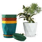 petrickenterprise SET of 5 | 6.5 Inch Flower Pots for Home Decoration, Flower Pots for Garden Plants, Gardening Pots, Big Pots for Plants, Plastic Flower Pot, Indoor Plant Pots, Pots for Plants