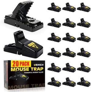 Mouse Trap