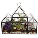 D'Eco Glass Castle Plant Terrarium (10x4.5x9) - Indoor Tabletop & Hanging Black Geometric Planter - Succulents, Air Plants, Moss, Fern - Home Garden Office Decor - Plant Lovers Gift (Terrarium Only)