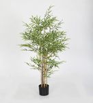 Home Bloom Artificial Bamboo Plants, 51" Tall Bamboo in Pot Plant for Indoor Outdoor Modern Decor, Home Office Perfect Housewarming Gift, Pack