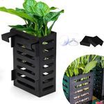 VAYINATO® 1 Pcs (Box Type) Black Hanging Water Plant Holder Pot for Aquarium Fish Tank, Aquaponics and Hydroponics with Hooks and Suction Cups for Easy Installation by Petzlifeworld