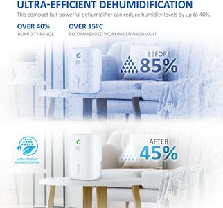 NETTA Mini Dehumidifier 800ml – Compact White Moisture Absorber