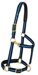 Weaver Leather Padded Adjustable Nylon Horse Halter, Blue, 1" Large Horse
