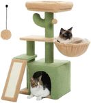 PAWZ Road Cactus Cat Tree With Scra