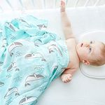 Kassy Pop Newborn Baby Blanket Cum Swaddle Wrap, 100% Organic Bamboo Cotton, Soft & Super Absorbing (Green)
