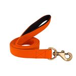 PetWale Dog Leash with Padded Handle | Suited for Walking, Running, Training & More | Orange Fabric | Easy to Clean & Maintain | Durable & Sturdy | L: 5 feet, W: 1 inch