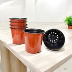 Sapling's World Thermoformed Plastic Pots | 8 Inch Size | Terracotta Colour | Unbreakable |Multiple Holes for Better Drainage |Best for Indoor & Outdoor Plants (Pack of 24)