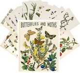 PIXILUV Vintage PostCards 24 pcs Butterfly and Moths Vintage Book Illustration