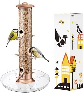 iBorn Bird