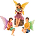 PRETMANNS Fairy Garden Accessories,