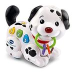 VTech Roll & Discover Puppy