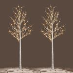 NOWSTO Lighted Birch Tree, 2 Pack 6 Feet 144 Warm White Lights, Prelit White Artificial Christmas Trees for Indoor Outdoor Decor Garden Wedding Party Bedroom Decoration