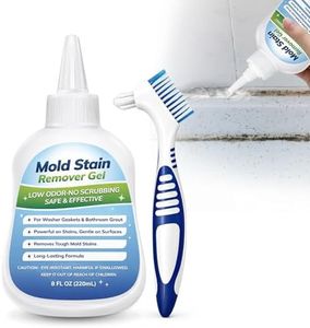 Mold-Stain