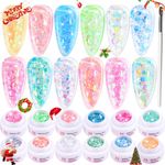 Noirwhite Glitter Gel Nail Polish Set -12 Colors Sparkle Aurora Sequins Gel Polish Resplendent Neon Colorful Trendy Translucent Glitter Solid Nail Polish Kit Pink Gold White Blue Green Soak Off UV LED Solid Gel Nail Polish for Home DIY Manicure Nail Salon DIY Gift for Women Girls with Brush