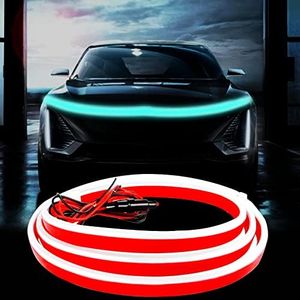 Car Hood L