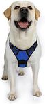 Rabbitgoo Dog Harness No-Pull Pet H