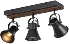 KEESFU 3-Light Track Lighting Kit,B