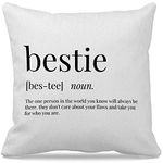 Bestie Themed 18″×18″Bestie Definition Decorative Throw Pillow Case For Home Bedroom Living Room Office Sofa Couch Bed Decor,Best Friend Friendship Gifts For Women Friends Birthday Christmas Girls