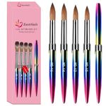 Acrylic Nail Brush, 4pcs Professional Nail Brush for Acrylic Powder, DIY Decoration Acrylic Tool Nail Polish Brush,Nail Art Brushes for Precision Manicure Design