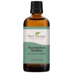 Plant Therapy Eucalyptus Radiata Essential Oil 100 mL (3.3 oz) 100% Pure, Undiluted, Therapeutic Grade