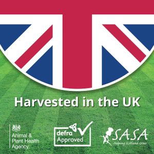 A1 Lawn Grass Seed, 5kg – Premium Quality for Lush Lawns