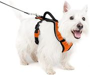 PetSafe EasySport Dog Harness – Adjustable Padded Dog Harness with Control Handle and Reflective Piping – Small, Orange