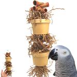 Bonka Bird Toys 3867 Duo Money Pitt Medium Large Bird Toy Treat Box Foraging Paper Chew Coin Tube Shred African Grey Amazon Conures and Other Similar Birds