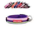 EZYDOG Classic Neo Dog Collar | Dog Collar Small, Medium, Large Dogs, Reflective Dog Collar, Supreme Comfort, Soft Neoprene Material, Non-Corrosive (Bubblegum)