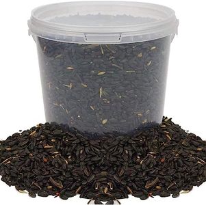 Semillas de Girasol Negro de BusyBeaks - Alimento Rico en Aceite para Aves Silvestres en Jardines ocupados (10L)