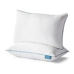 LUCID Premium Shredded Memory Foam Pillow - Hypoallergenic - 2 Pack - Queen