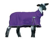 Weaver Leather Livestock ProCool Mesh Sheep Blanket with Reflective Piping, Purple, Extra Small