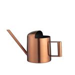 IMEEA 11oz/300ml Mini Watering Can Stainless Steel Super Tiny Water Can for Succulents Indoor Desk Office Bonsai(Copper)