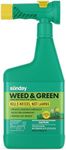 Sunday Weed & Green - Weed and Feed for Lawns - Pre-Emergent & Post-Emergent Weed Killer Spray - Includes Hose-End Sprayer - For Crabgrass, Broadleaf Weeds & Lawn Diseases - Covers 1,250 sq ft - 32 oz