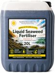 Liquid Seaweed Fertiliser 20L Conce