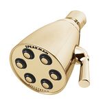 Speakman S-2252-PB-E2 Icon Anystream Low-Flow Shower Head, Polished Brass