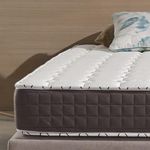 Dreamfoam Bedding Latex Mattresses