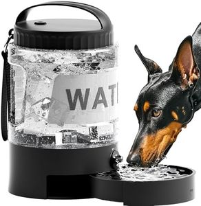 Dog Water 