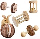 Tesion Hamster Chew Natural Wooden Toys, Pets Teeth Care Molar Ball for Small Animals Guinea Pig Rats Chinchillas Bunny Rabbits Bird Toys Accessories(5 Pcs)