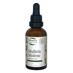 ST FRANCIS HERB FARM Mullein (50 ml) Cough and Respiratory Infection Symptom Relief Support for Natural Health and Wellness (1 Tincture) Organic, Wildcrafted, Vegan, Vegetarian, Made in Canada