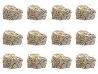 EISCO 12Pk Raw Fossiliferous Limestone, Sedimentary Rock Specimens - Approx. 1" - Geologist Selected & Hand Processed - Great for Science Classrooms - Class Pack - Eisco Labs